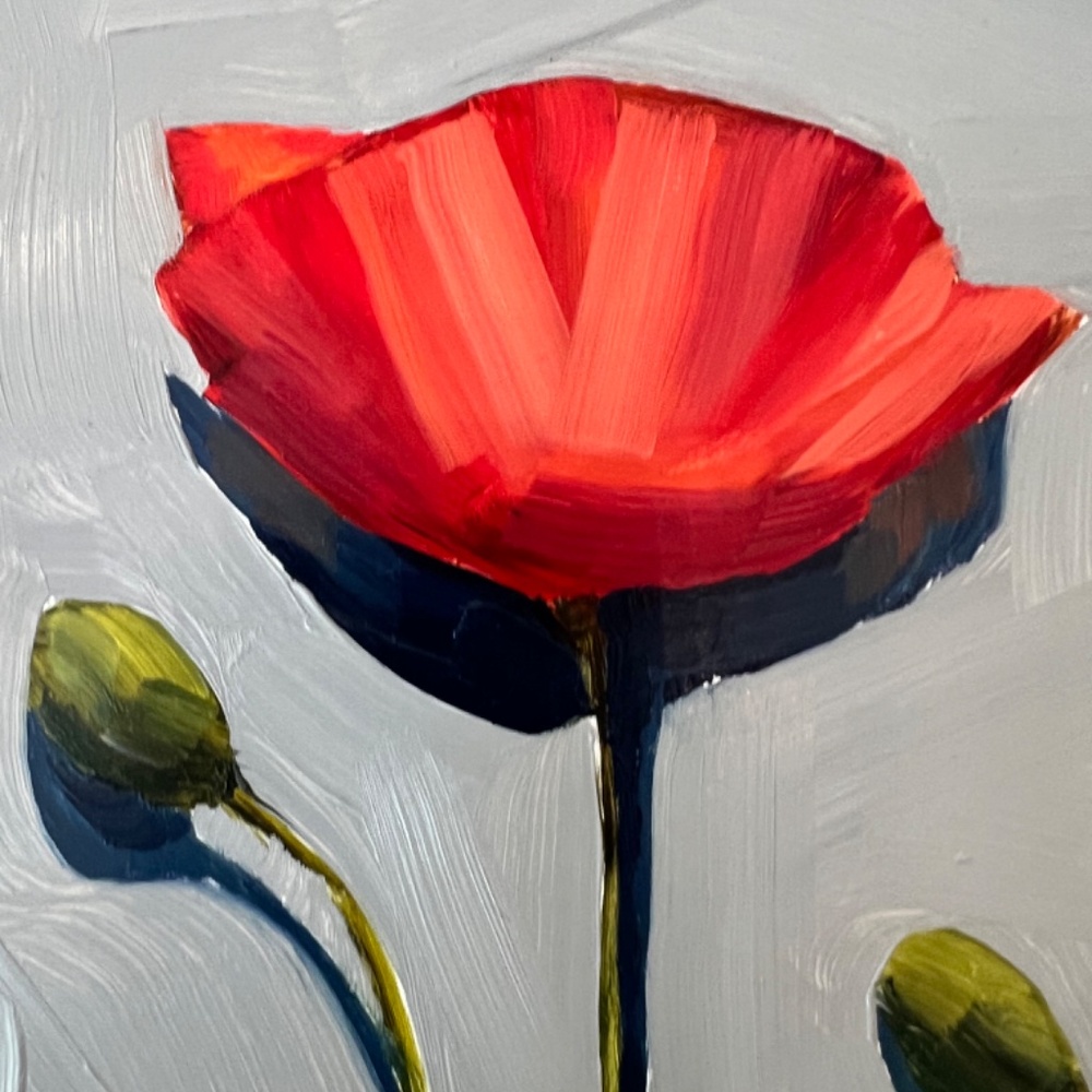 Red Poppy - Picture 5 of 6